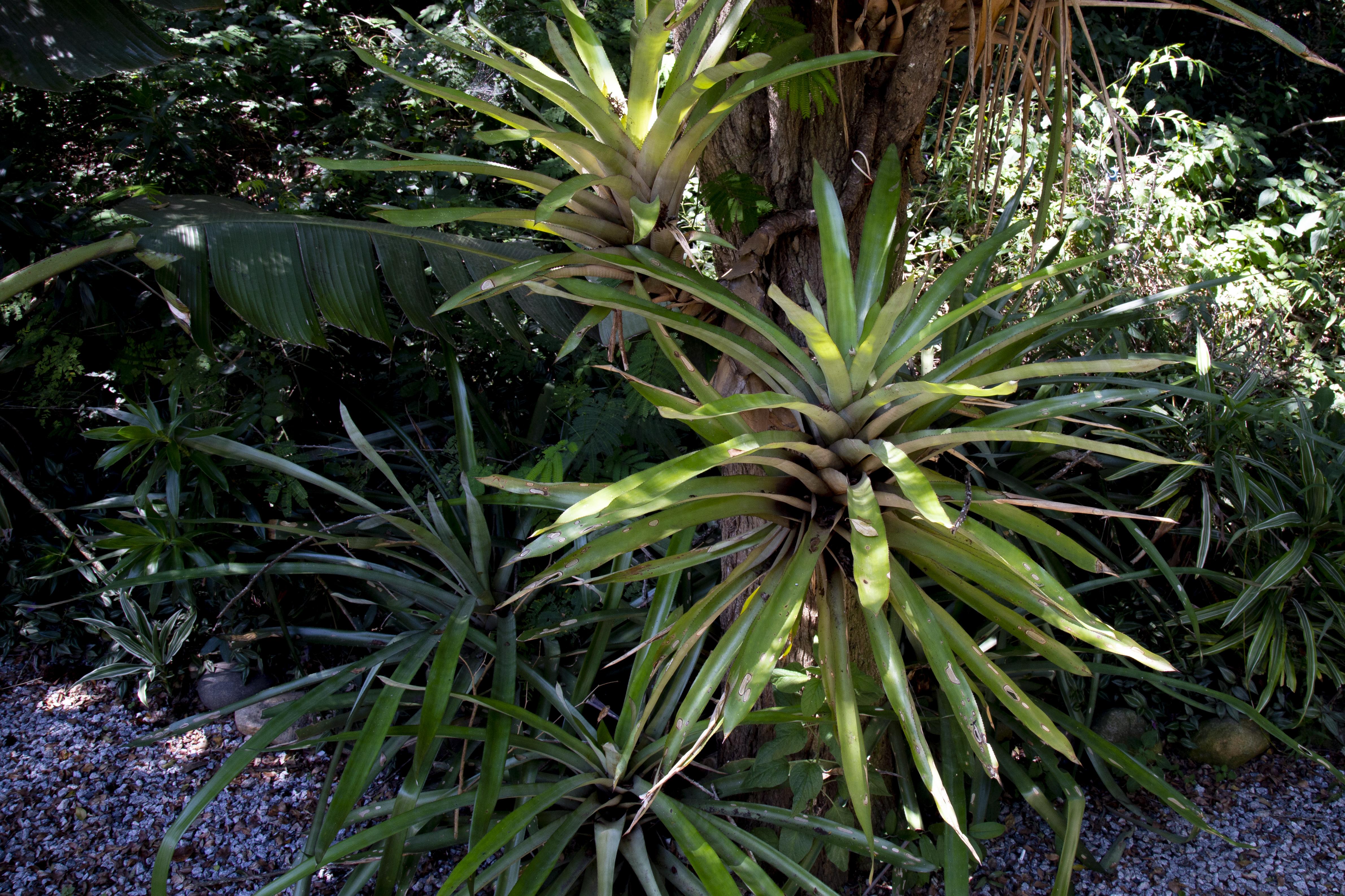 Aguas Claras 3* Armacao dos Buzios